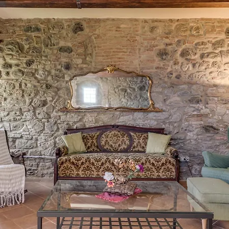 Villanovia Volterra
