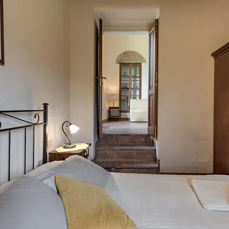 Villanovia Volterra